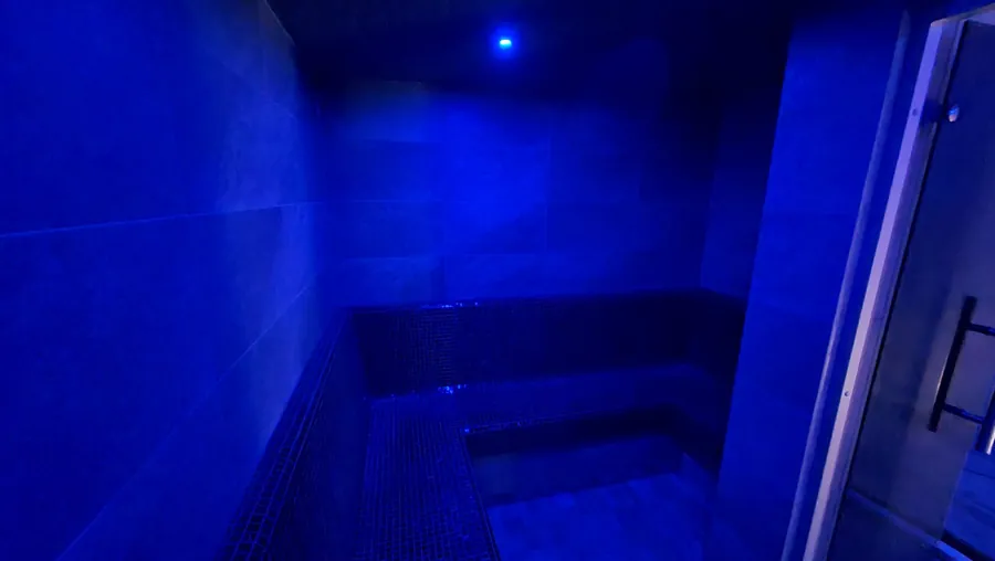 Parná sauna